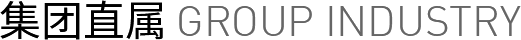 集团子公司 集团子公司